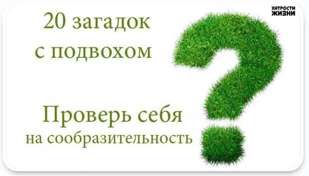 20 ЗАГАДОК С ПОДВОХОМ