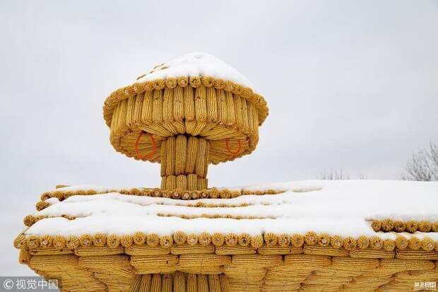 Китайский фермер построил дом из кукурузы