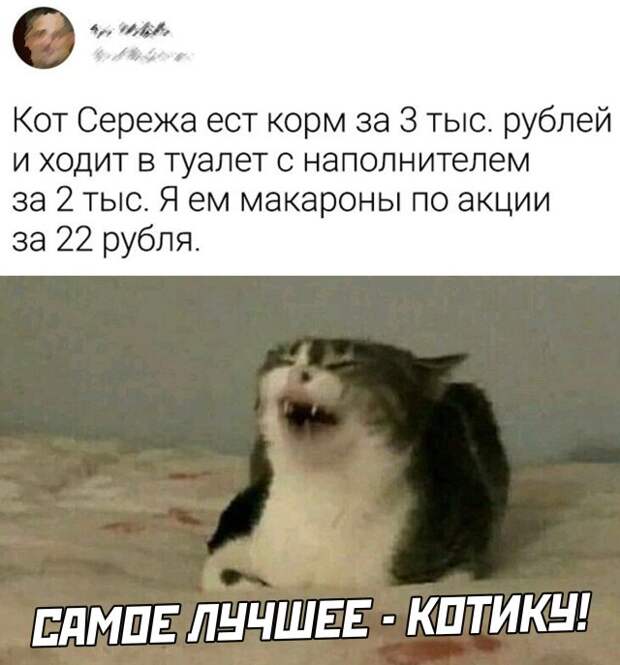Смешные картинки вечер 6 апреля 2021 года
