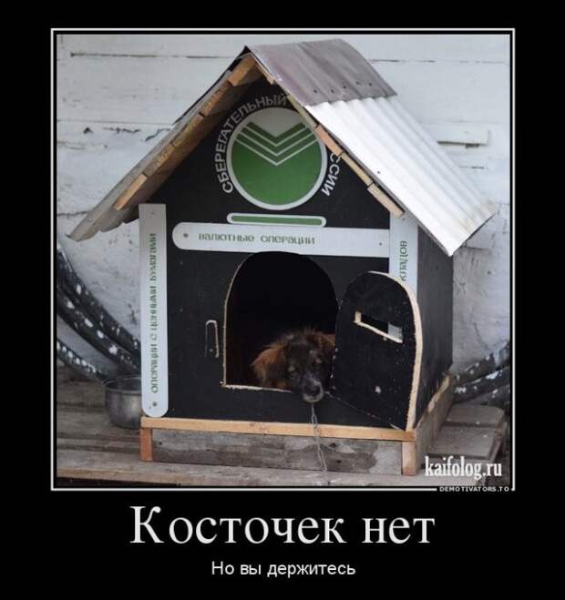 Демотиваторы демотиваторы, прикол