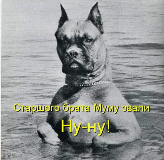 Котоматрицы (50 штук) Котоматрицы (50 штук)