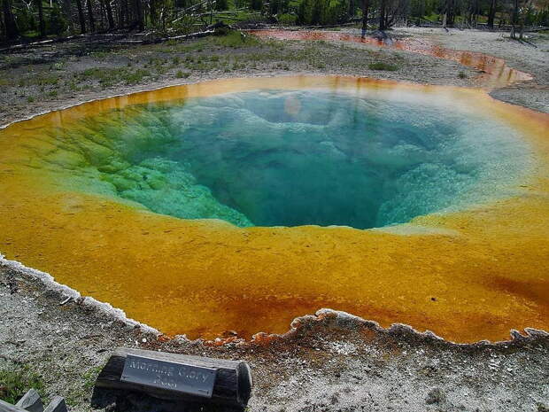 Озеро Утренней Славы (Morning Glory Pool) в национальном парке Йеллоустоуна (Yellowstone National Park). Фото с сайта NewPix.ru