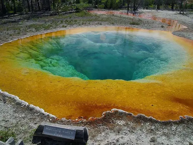 Озеро Утренней Славы (Morning Glory Pool) в национальном парке Йеллоустоуна (Yellowstone National Park)