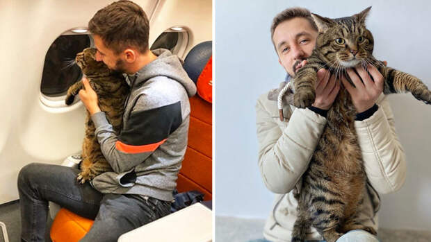 Хозяин кота Виктора Галин одобрил новые правила Аэрофлота по перевозке животных