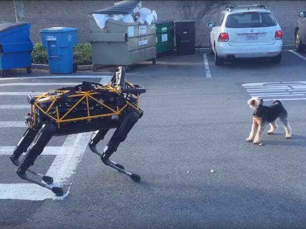 1-robotics-veterinarian