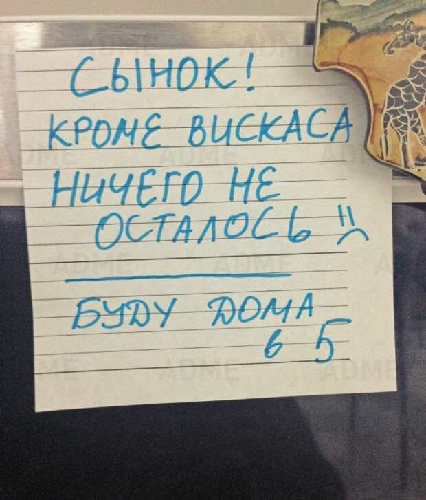 Забавные записки от родителей Забавные записки от родителей