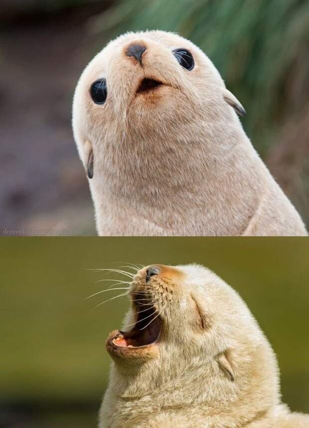 РазностИ РазностИ