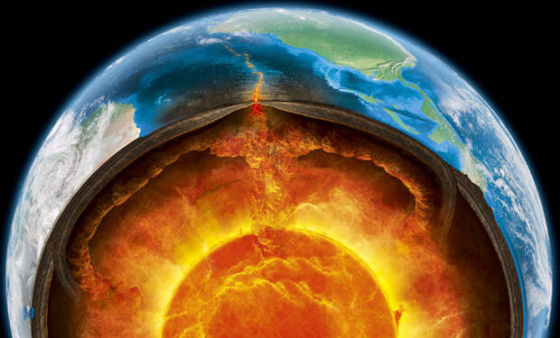 Фото Claus Lunau / Science Source