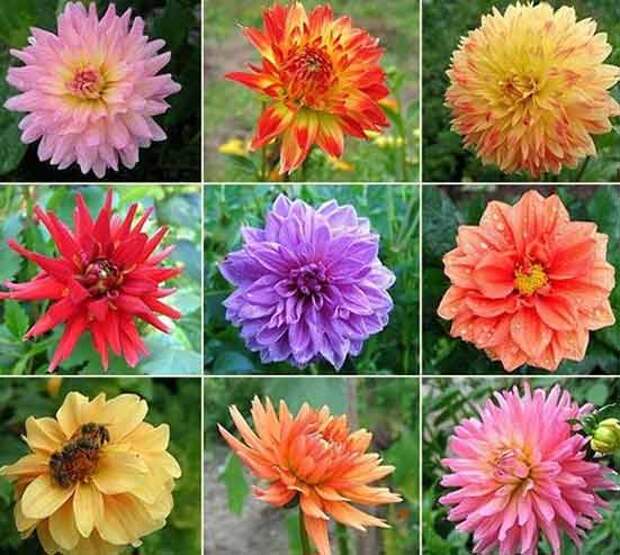 plants1014-6.jpg