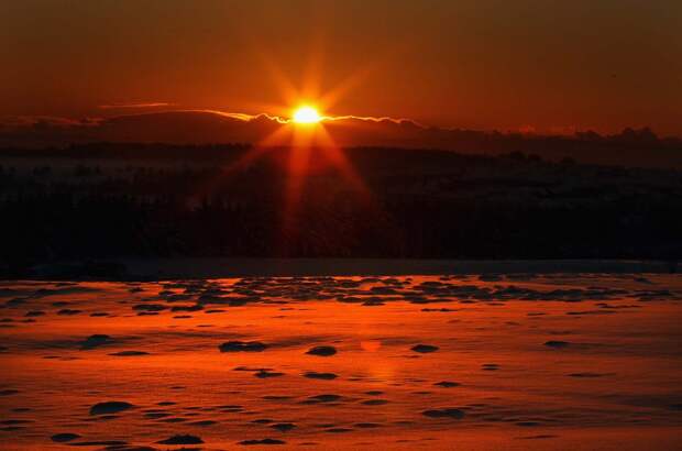 winterbeauty62