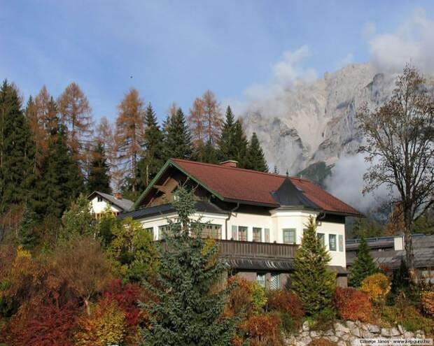 Фотоподборка: 