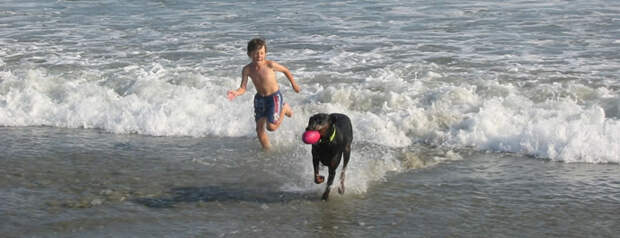 water fetch game with dog