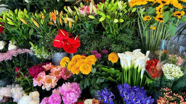 Какие цветы лучше переживут доставку в холодное время года