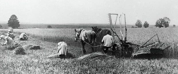 Февраль 1917: революция просто не могла не состояться