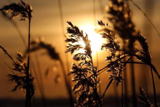 Группа солнечных пятен 4366 может побить рекорд XXI века по числу вспышек