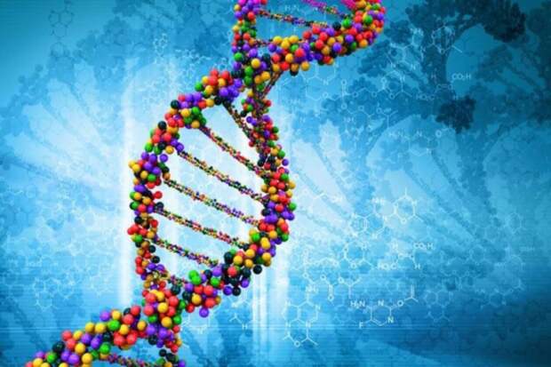 Поиск родственников через тест ДНК. Как ДНК может помочь узнать предков?