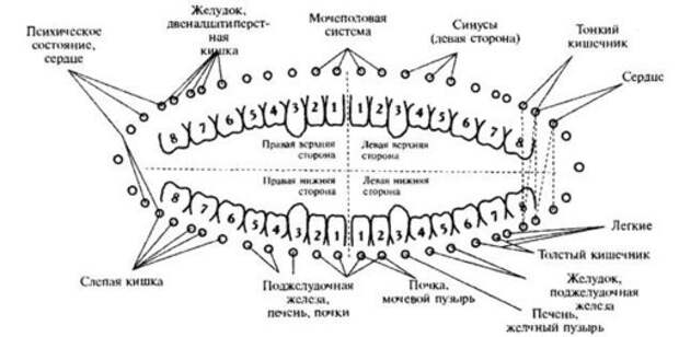 Зуб 3