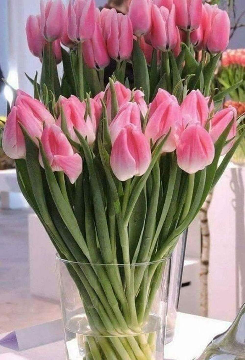 Хочу весну хочу цветов. Букет тюльпанов. Тюльпаны весной. Тюльпаны зимой.