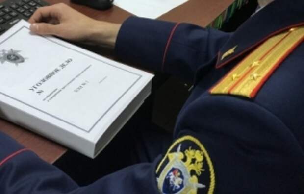 Председатель Следственного комитета поручил доложить о расследовании обстоятельств нарушения прав несовершеннолетних в Республике Башкортостан