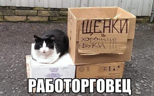 Картинки со смешными подписями