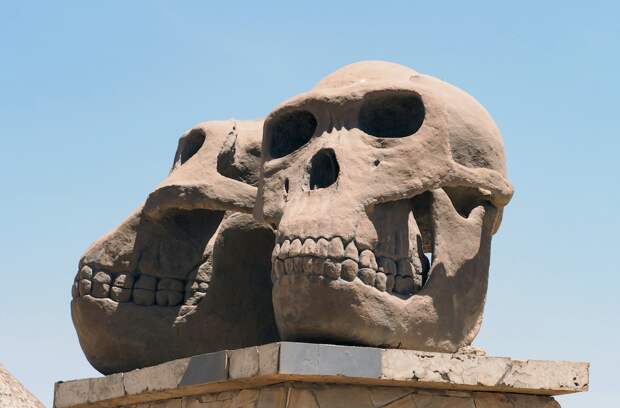 В Эфиопии впервые обнаружили останки древних парантропов