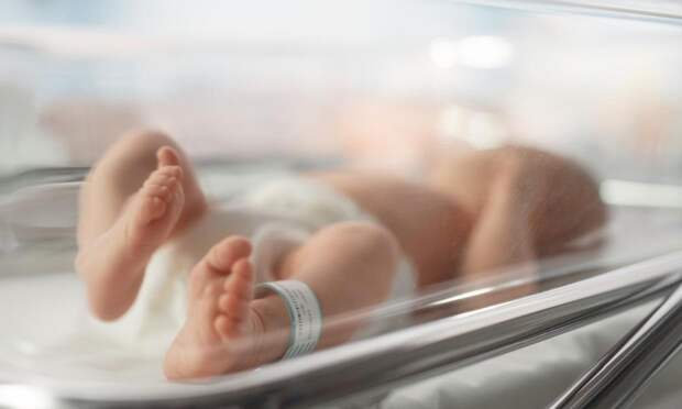 Почему после аварии на Фукусиме рождались слабые и недоношенные: дело не в радиации