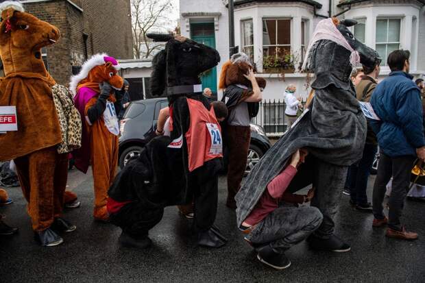 Веселая гонка лошадей London Pantomime Horse Race 2018