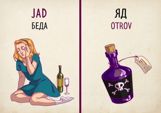 Русским туристам в Сербии на заметку: созвучные слова и их значения Русским туристам в Сербии на заметку: созвучные слова и их значения