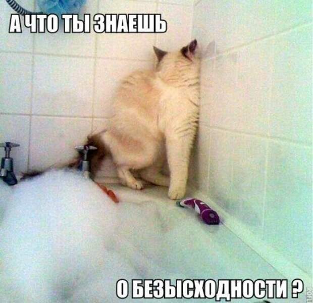 Классные картинки и фото приколы для вас! (44 шт)