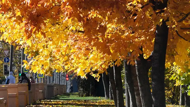 Климатолог прокомментировал ситуацию с бабьим летом