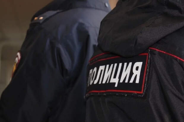 В Смоленске разыскивают 9-летнюю девочку, пропавшую после прогулки с собакой