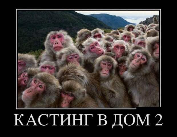 Смешные и забавные демотиваторы 