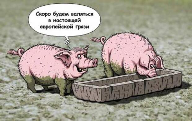 Киев загораживается от России, а Польша перекрыла украинцам въезд в Европу.