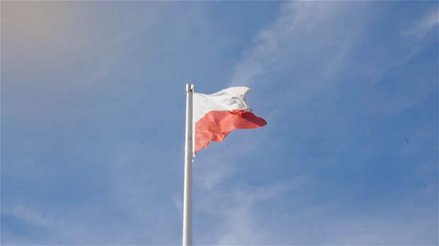 FT: Польша готовит иск о «репарациях» против РФ