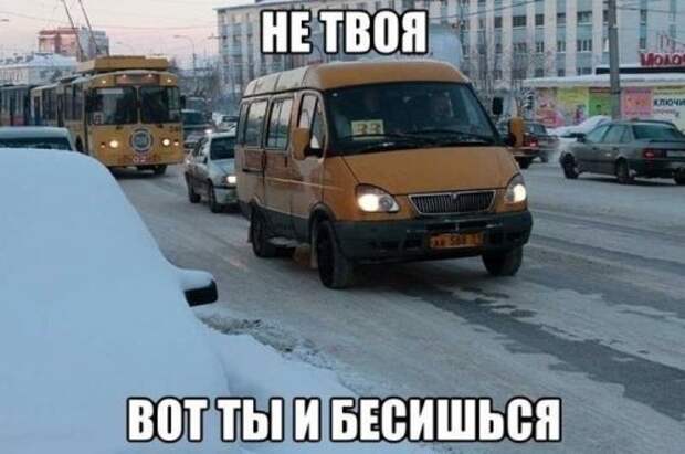 Свежие прикольные картинки (56 шт)