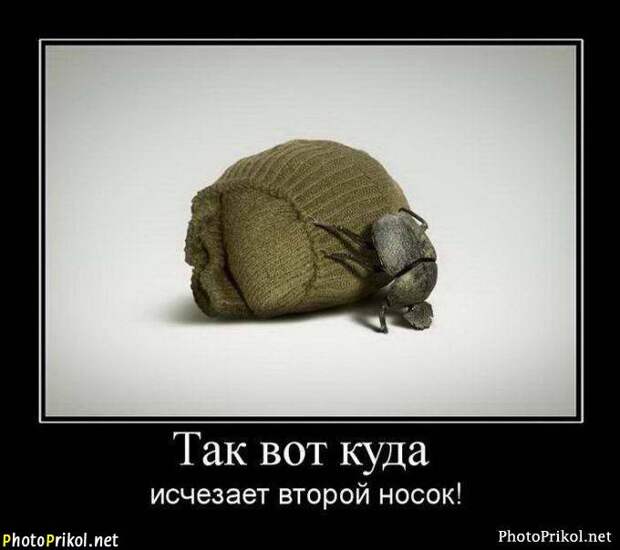 Новые смешные демотиваторы (44 демотиватора) Новые смешные демотиваторы (44 демотиватора)