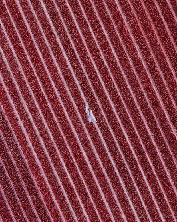 :    :       29 - BigPicture.ru