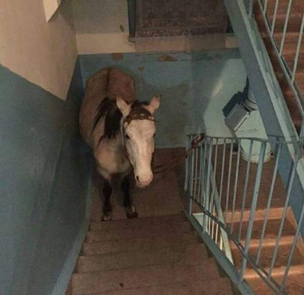 Где-то в России