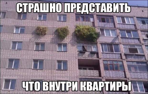 Прикольные фотографии и ржачные картинки с надписями (11 фото)