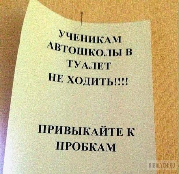 автоприколы