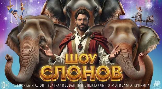 В Рязани выступят «Волшебные кошки» Владимира Куклачева и группа «Танцы Минус»