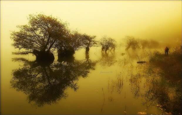 Misty lake by Jaewoon U on 500px