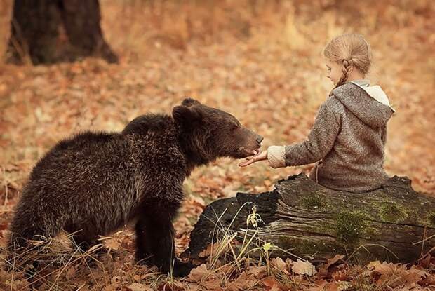 Снимок фотографа Елены Карнеевой. Снимок фотографа Елены Карнеевой.