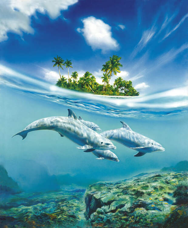 Картинки по запросу дельфины
