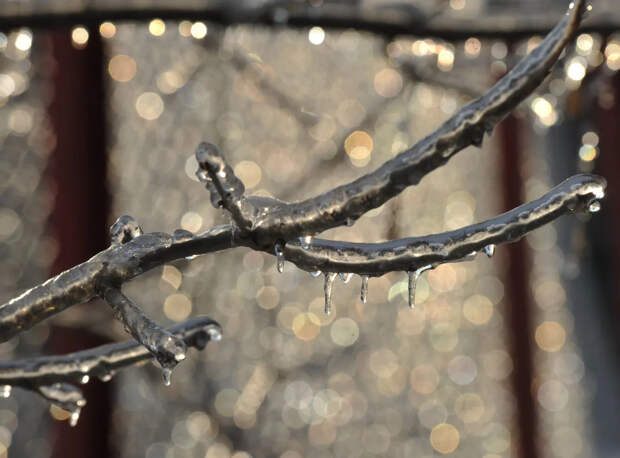 Синоптики назвали дату резкого потепления в Москве