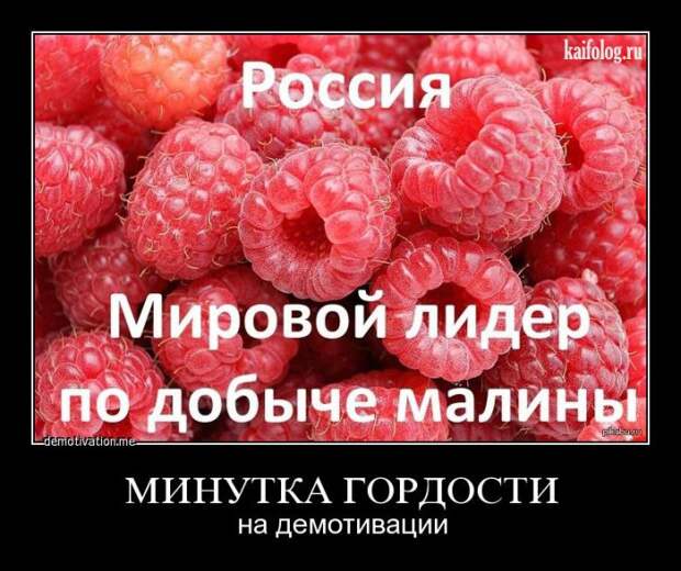 Чисто русские демотиваторы - 182 (50 фото)