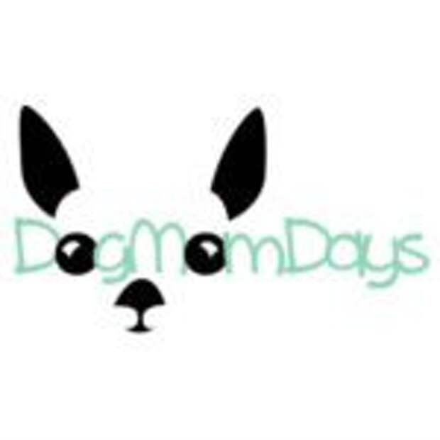 dogmomdays2-sq-150x150