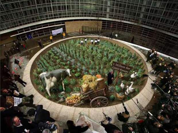Акция Гринпис "Миллион подписей за продукты без ГМО". Брюссель, Бельгия