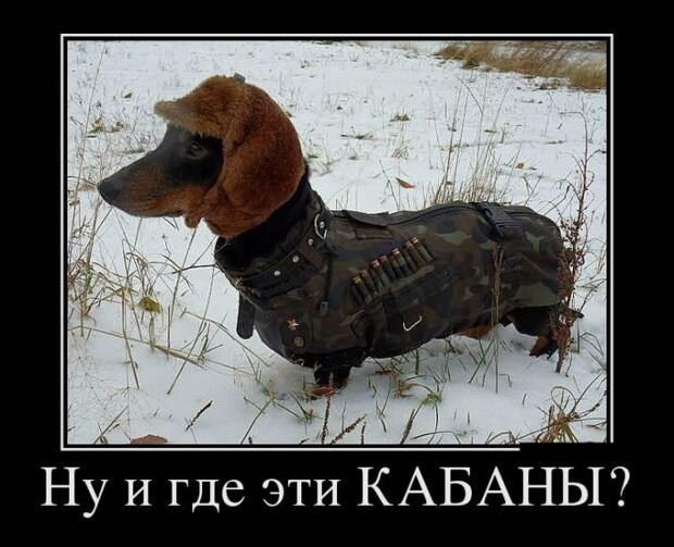 Демотиваторы (30 фото)