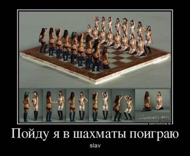 Демотиваторы, наши прикольные цитаты.